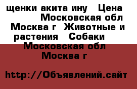 щенки акита ину › Цена ­ 45 000 - Московская обл., Москва г. Животные и растения » Собаки   . Московская обл.,Москва г.